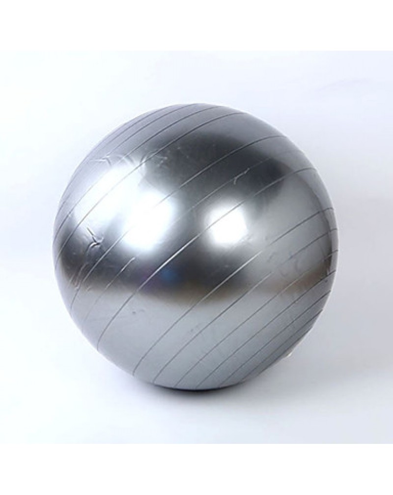 Unisex Fitness Ball PVC 0.45 M Silvery